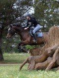 IMG_2563 IMG_2563