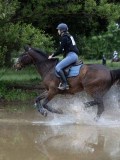 IMG_2567 IMG_2567