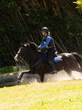 DSC01658 DSC01658