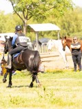 DSC01663 DSC01663