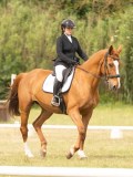 24_06460 24_06460