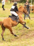 DSC07599 DSC07599