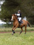 IMG_2696 IMG_2696