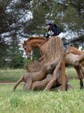 IMG_2698 IMG_2698