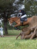 IMG_2699 IMG_2699