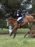 IMG_2700 IMG_2700