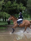 IMG_2703 IMG_2703