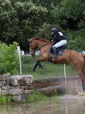 IMG_2709 IMG_2709