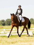 DSC00554 DSC00554