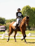 DSC00559 DSC00559