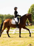 DSC00569 DSC00569