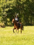 DSC01180 DSC01180