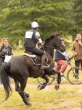 DSC07549 DSC07549