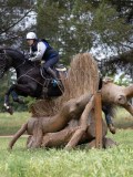 IMG_2662 IMG_2662