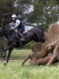 IMG_2663 IMG_2663