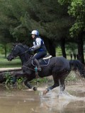 IMG_2664 IMG_2664