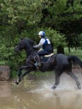 IMG_2668 IMG_2668