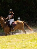 DSC01798 DSC01798