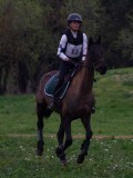 IMG_0136 IMG_0136