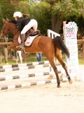 DSC08339 DSC08339