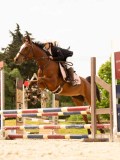 DSC08343 DSC08343