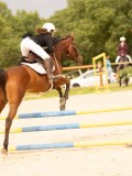 DSC08354 DSC08354