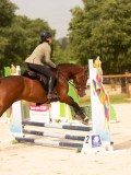 DSC03919 DSC03919