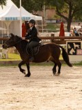 DSC03583 DSC03583