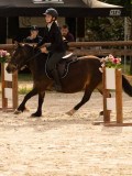 DSC03584 DSC03584