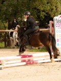 DSC03587 DSC03587