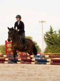 DSC03588 DSC03588