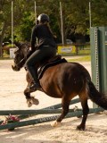 DSC03589 DSC03589