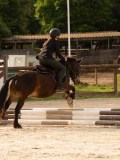 DSC03590 DSC03590