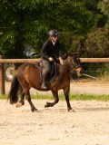 DSC03593 DSC03593