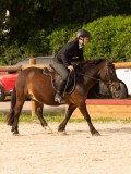 DSC03594 DSC03594
