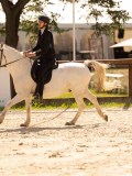 DSC04234 DSC04234