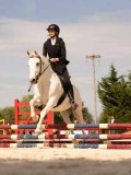 DSC04238 DSC04238