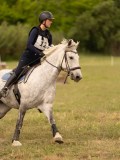 DSC01717 DSC01717