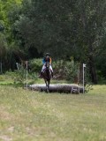 IMG_3982 IMG_3982