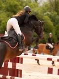 DSC01576 DSC01576