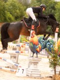 DSC01585 DSC01585