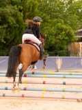 DSC00335 DSC00335