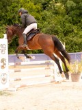 DSC01655 DSC01655