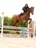 DSC01661 DSC01661