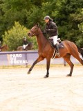 DSC01664 DSC01664