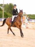 DSC03556 DSC03556