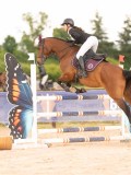 DSC03565 DSC03565