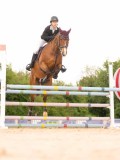 DSC03567 DSC03567