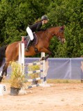 DSC03568 DSC03568