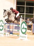 DSC02165 DSC02165
